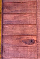 Siding Beveled